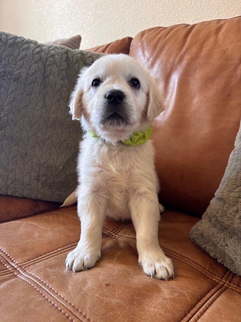 Green boy