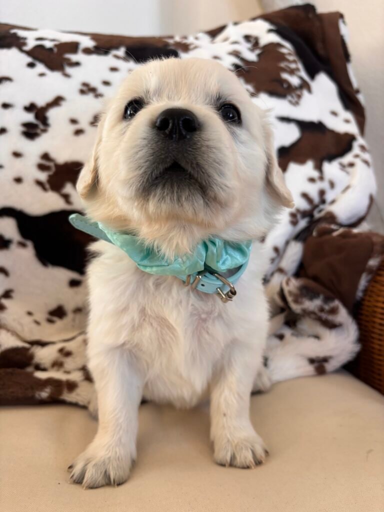 Mint green girl